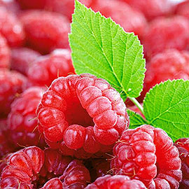 Raspberry